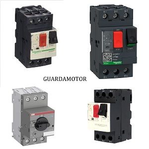 Guardamotores